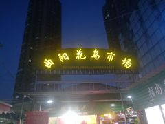 -曲阳花鸟市场(曲阳路店)