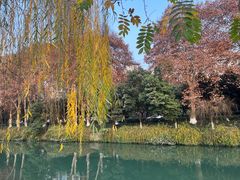 -沙河三洞古桥公园