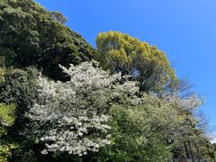 -鹤冈八幡宫