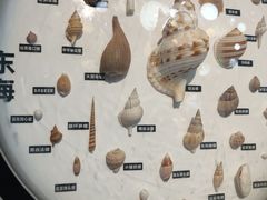 -海合安青岛极地海洋公园