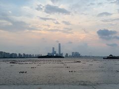 -金鸡湖景区
