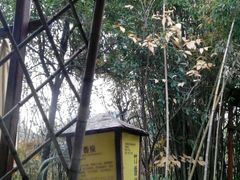 -咸宁万豪温泉谷度假区