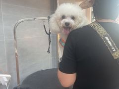 -宠福鑫康馨动物医院·骨科·眼科