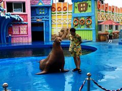 景点-华夏文旅西安度假区