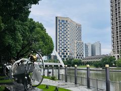 -陈家山荷花公园