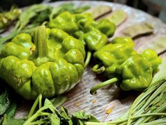 -缘生态云南菜·野生菌庭院餐厅(华侨城店)