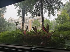 -光舍(香榭里花园店)