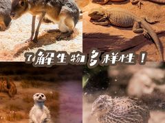-正佳极地海洋世界