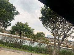 -海鸥岛