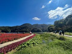 -广州市石门国家森林公园