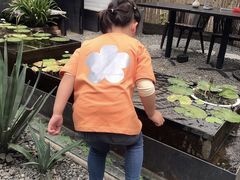 -云里小坐·小院里·团建·宴请·下午茶(三圣乡店)