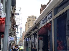 -LESCEDARS Brasserie Bistro香柏树