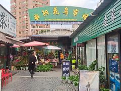 -曲阳花鸟市场(曲阳路店)