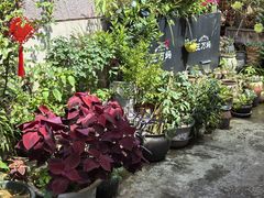 -王万妈卤猪脚(青岩交通路)