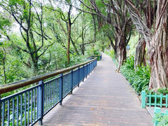 -金鸡山公园
