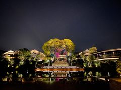 -雅达·阳羡溪山小镇中心
