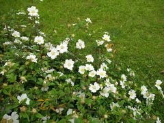 -艾溪湖湿地公园