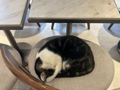 -Peet's Coffee皮爷咖啡(豫园店)