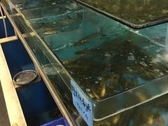 水产区-钓台野鱼馆(钱江国际时代广场店)