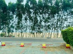 -厦门方特梦幻王国