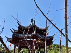 -江心屿景区