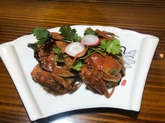 -呼吸森林·生态农庄农家乐私房菜