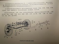 -荆州博物馆