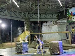 -清迈夜间动物园