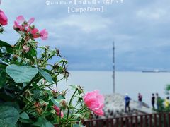 -上海滨江森林公园