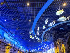 -华夏文旅海洋公园