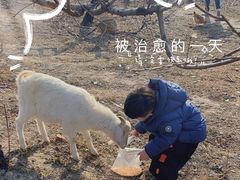 -乌村