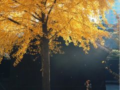 -沈阳市东陵公园