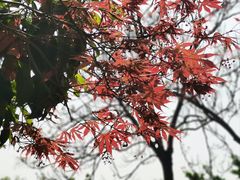 -北京动物园