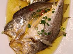 -宝轩渔府·老字号海鲜·正宗津菜(水上店)