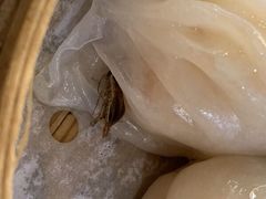 -益健海鲜大食坊(拱北口岸店)