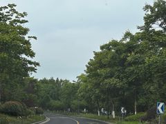 -苏州上方山国家森林公园