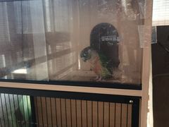 -禅韵琴社 古琴茶道香道插花培训(西华门店)