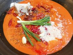 -肥龙火锅(南坪店)