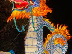 -欢乐海岸椰林沙滩-2025湾区超级灯会