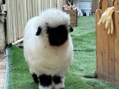 -HERRE·FARM 赫尔露营农场·团建聚会包场