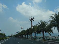 -羚羊峡古栈道森林公园