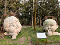 -东平国家森林公园