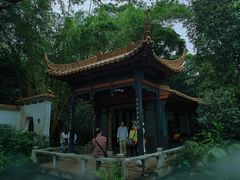 -广州兰圃