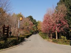 -长春市南湖公园