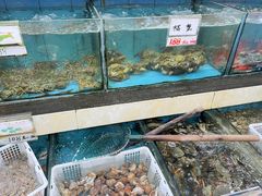 水产区-秋姐美食店(旅游大道店)