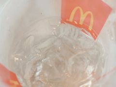 椰子水双派组合-麦当劳(展览路店)