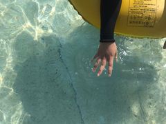 -重庆海昌加勒比海水世界