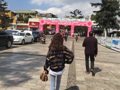 -昆明动物园