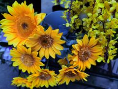 -Peet's Coffee皮爷咖啡(大学路店)