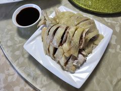 桂家散养鸡-东康桂家农庄